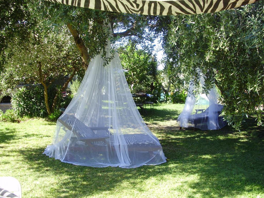 Casa Vacanze Il Pozzo Vila Ísquia Exterior foto