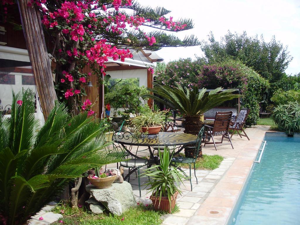 Casa Vacanze Il Pozzo Vila Ísquia Exterior foto